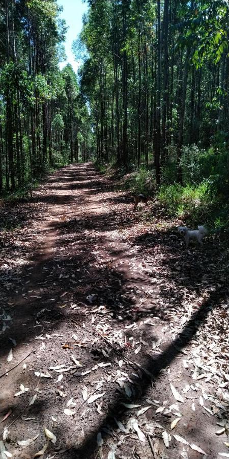 Cafe Com Arte Pousada Ecologica Botucatu Bagian luar foto
